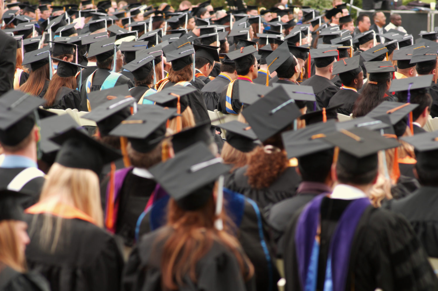 Rear view of a group of graduates wearing yellow tassel hats.